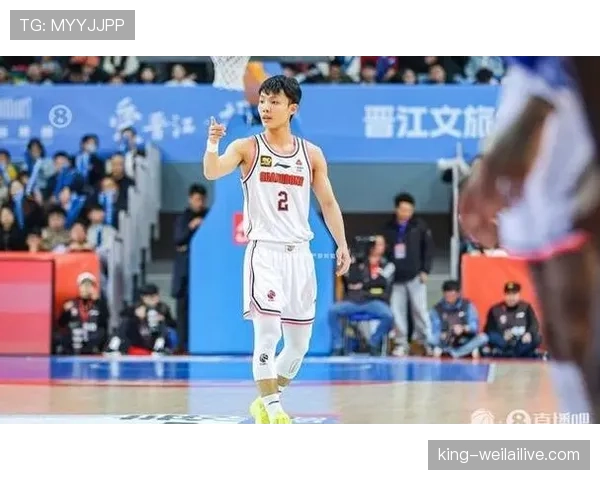 篮球场上被吹违体犯规的判定标准到底是什么？